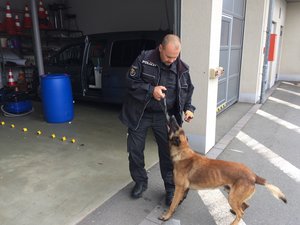 Polizeihunde in Thüringen machen eine gute und unverzichtbare Arbeit!